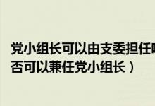 党小组长可以由支委担任吗（党小组长怎么产生 支部委员是否可以兼任党小组长）