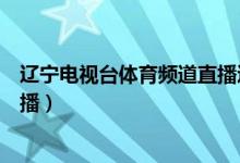 辽宁电视台体育频道直播辽宁深圳（辽宁电视台体育频道直播）