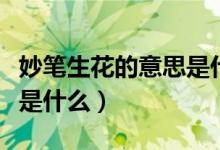 妙笔生花的意思是什么简短（妙笔生花的意思是什么）
