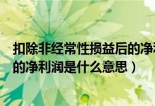 扣除非经常性损益后的净利润怎么算（扣除非经常性损益后的净利润是什么意思）