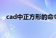 cad中正方形的命令（cad正方形快捷键）