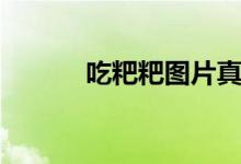 吃粑粑图片真实（吃粑粑图片）
