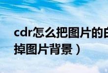 cdr怎么把图片的白色背景去掉（cdr怎么去掉图片背景）