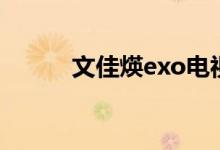 文佳煐exo电视剧(exo电视剧)
