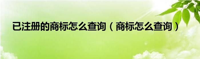 已注册的商标怎么查询（商标怎么查询）