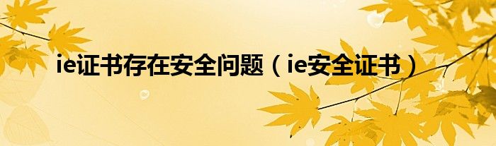 ie证书存在安全问题（ie安全证书）