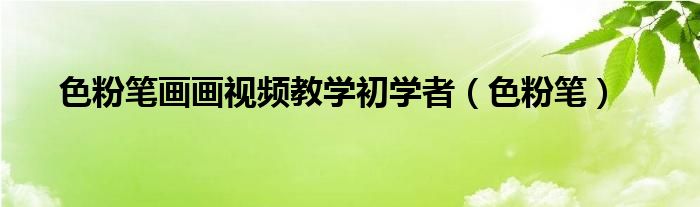 色粉笔画画视频教学初学者（色粉笔）