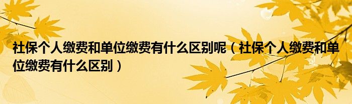 社保个人缴费和单位缴费有什么区别呢（社保个人缴费和单位缴费有什么区别）