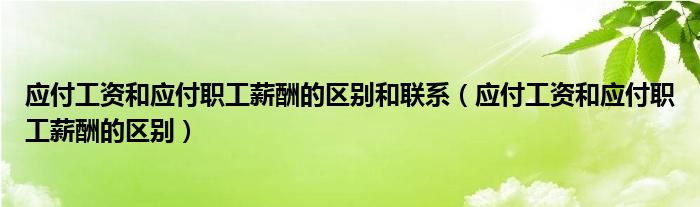 应付工资和应付职工薪酬的区别和联系（应付工资和应付职工薪酬的区别）