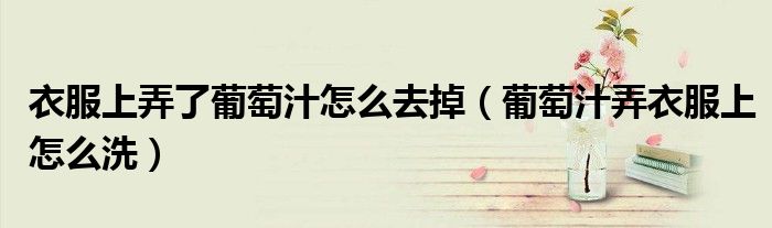 衣服上弄了葡萄汁怎么去掉（葡萄汁弄衣服上怎么洗）