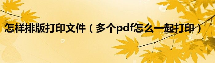 怎样排版打印文件（多个pdf怎么一起打印）