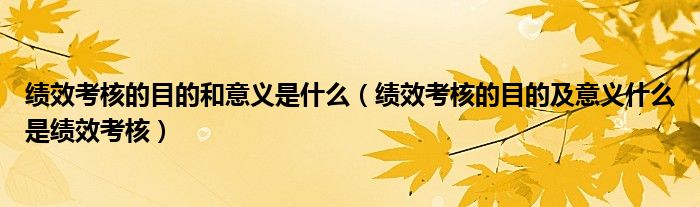 绩效考核的目的和意义是什么（绩效考核的目的及意义什么是绩效考核）