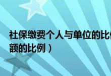 社保缴费个人与单位的比例是多少（社保个人与单位缴纳金额的比例）