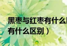 黑枣与红枣有什么区别和作用?（黑枣与红枣有什么区别）