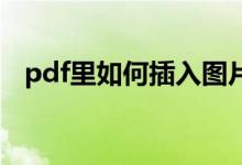 pdf里如何插入图片（插入图片显示不了）