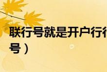 联行号就是开户行行号吗（联行号是开户行行号）