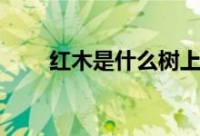 红木是什么树上的（红木是什么树）