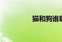 猫和狗谁聪明（猫和狗）