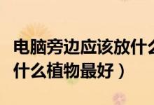 电脑旁边应该放什么植物防辐射（电脑旁边放什么植物最好）