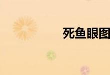 死鱼眼图片（死鱼眼）