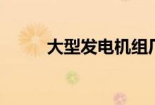 大型发电机组厂家（大型发电机）