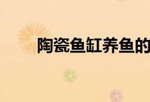 陶瓷鱼缸养鱼的优缺点（陶瓷鱼缸）
