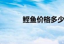 鲣鱼价格多少钱一斤（炸弹鱼）