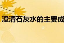 澄清石灰水的主要成分是什么（澄清石灰水）