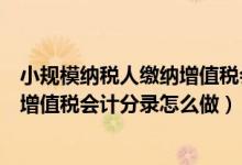 小规模纳税人缴纳增值税会计分录怎么做（一般纳税人缴纳增值税会计分录怎么做）