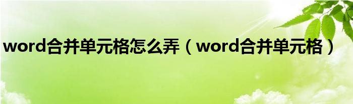 word合并单元格怎么弄（word合并单元格）