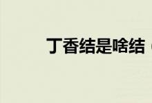 丁香结是啥结（丁香结是什么结）