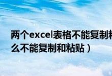 两个excel表格不能复制粘贴怎么办（两个EXCEL表格为什么不能复制和粘贴）