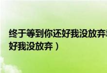 终于等到你还好我没放弃幸福来得好不容易（终于等到你还好我没放弃）