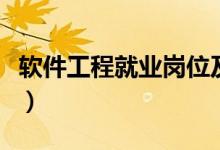 软件工程就业岗位及薪酬（软件工程就业岗位）