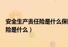 安全生产责任险是什么保险和工伤保险区别（安全生产责任险是什么）