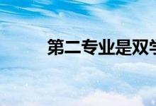 第二专业是双学位吗(第二专业)