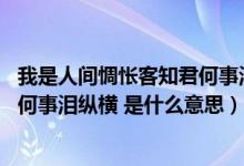 我是人间惆怅客知君何事泪纵横全诗（我是人间惆怅客 知君何事泪纵横 是什么意思）