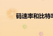码速率和比特率（码率和比特率）