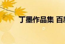 丁墨作品集 百度云（丁墨作品集）