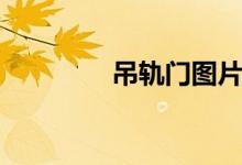 吊轨门图片大全（吊柜门）