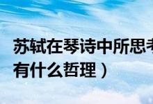 苏轼在琴诗中所思考的问题是什么（苏轼琴诗有什么哲理）