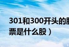 301和300开头的股票是什么股（0开头的股票是什么股）
