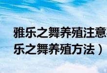 雅乐之舞养殖注意事项（雅乐之舞怎么养 雅乐之舞养殖方法）