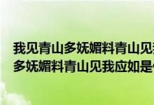 我见青山多妩媚料青山见我应如是下一句怎么接（我见青山多妩媚料青山见我应如是什么意思）