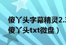傻丫头字幕精灵2.3.9破解版激活码（师傅的傻丫头txt微盘）