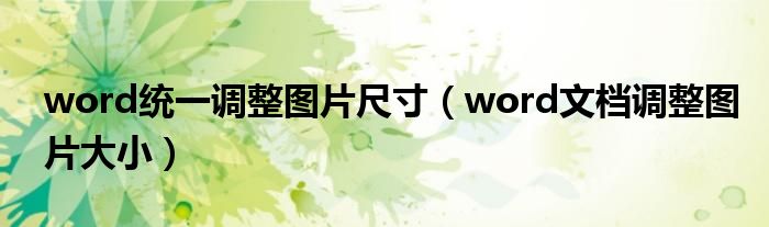 word统一调整图片尺寸（word文档调整图片大小）