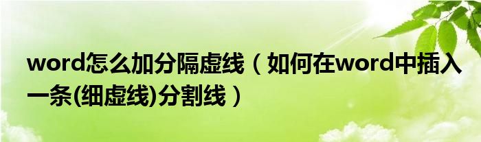 word怎么加分隔虚线（如何在word中插入一条(细虚线)分割线）