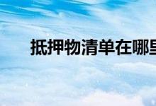 抵押物清单在哪里调取（抵押物清单）