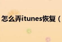 怎么弄itunes恢复（如何用itunes恢复系统）