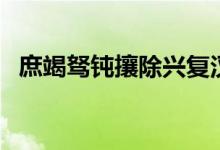 庶竭驽钝攘除兴复汉室的拼音（庶竭驽钝）